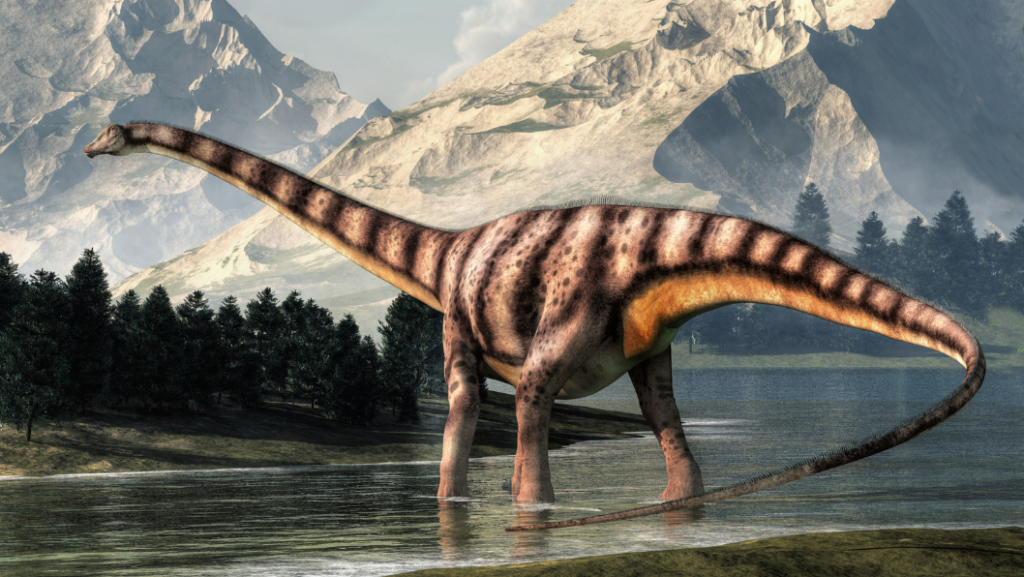 Diplodocus - Noted for its incredibly long neck and whip-like tail.