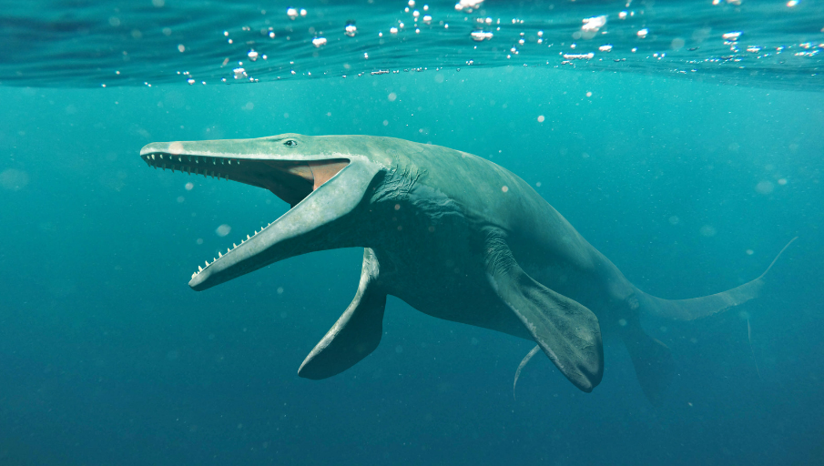 Mosasaurus - A massive marine reptile, not technically a dinosaur but often associated with them.