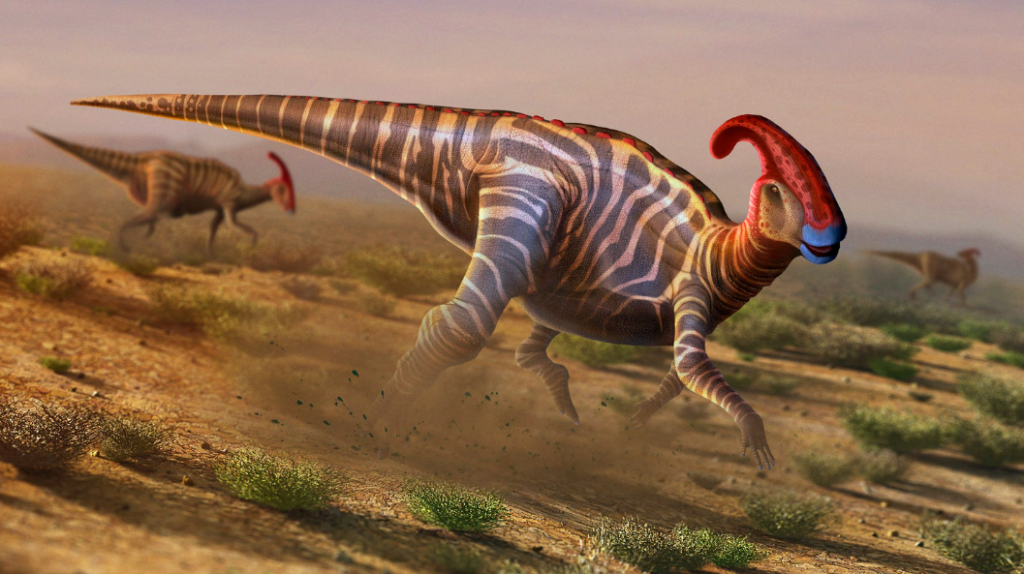 Parasaurolophus - Recognized by its unique tubular crest.