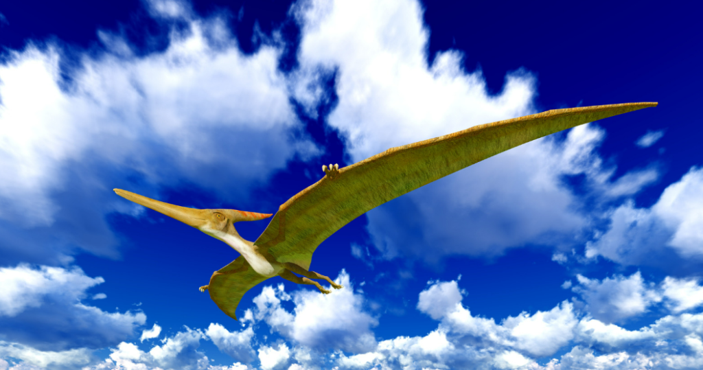 Pterodactyl - A flying reptile, iconic for its wingspan and crested head.