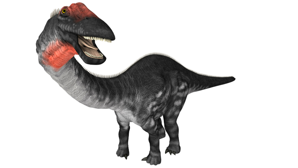 Apatosaurus - Once mistakenly referred to as the Brontosaurus.