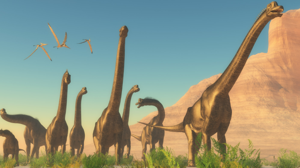 Brachiosaurus - A massive herbivore with long neck and towering legs.