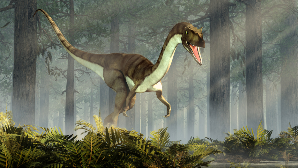 Coelophysis - One of the earliest known dinosaur species.